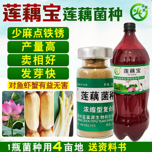 益富源莲藕宝专用肥料em菌种膨大素药叶面肥麻点铁锈荷花带营养液
