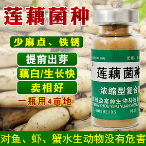 莲藕专用肥料em菌种种植藕田叶面肥益富源水溶肥藕带莲子铁锈黄叶