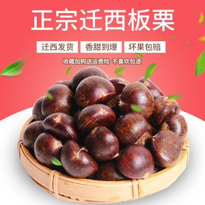 河北板栗生新鲜正宗迁西板栗 栗子大油栗燕山甜糯小毛板粟即食5斤