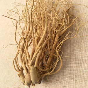 新鲜虎尾轮福建土楼农村养生煲汤炖品浓香食材辅料石参根包邮