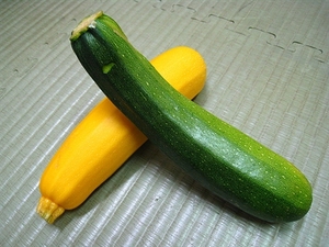 绿节瓜 绿意瓜 意青瓜 绿皮西葫芦 西葫芦一斤19元