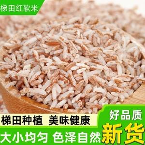 梯田红软米250g云南高原生态农家新米糙米杂粮粥米香气四溢长粒米