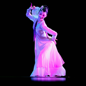 艺彩舞服 彩蝶飞舞舞蹈服表演服演出服头饰 古典舞民族舞服装定制