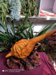 鹤首葫芦酒葫芦装水葫芦酒葫天鹅葫芦狼牙棒精品葫芦摆件葫芦装饰