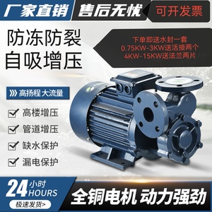 W型单级漩涡泵高压锅炉给水泵锅炉泵高压泵自吸泵锅炉泵