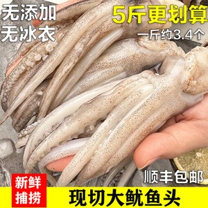 新鲜现切鱿鱼须海鲜超大鱿鱼头无冰衣鲜活冷冻章鱼火锅烧烤食材