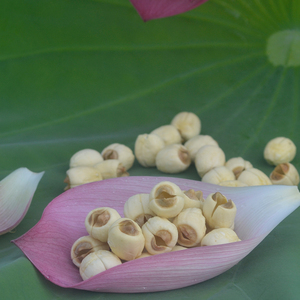 无芯白莲江西广昌农家自产干货特产手工通心莲子同建宁500g散装_阿里