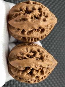 东北野生秋子楸子文玩核桃名品楸八棱血灯笼编号349