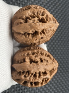 秋子楸子野生文玩核桃名品楸八棱血灯笼蜡皮皮质牛筋红编号038