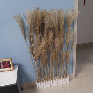 栅栏芦苇套餐文艺插花橱窗装饰场景布置摄影婚庆道具婚礼舞台摆件