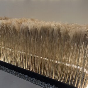 天然芦苇干花束婚礼装饰真花服装店橱窗摆件民宿软装搭配拍摄道具