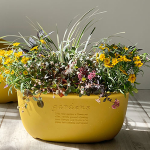 利快进口大口径椭圆形花盆创意高颜值加厚家用室内外阳台盆景