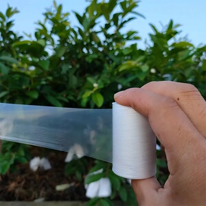 糯米纸嫁接膜免拆农用果树专用膜需打结薄膜包芽点果树嫁接专用膜