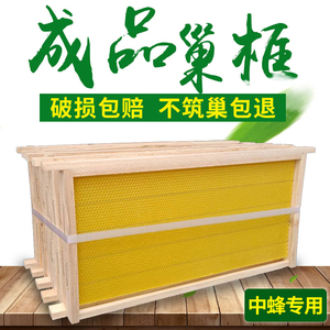 带框巢础成品巢框巢脾中蜂意蜂杉木巢基蜜蜂巢框养蜂工具蜂箱包邮