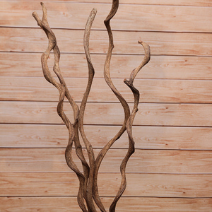 禅意树藤过江龙家居客厅摆设艺术树枝干花装饰拍摄道具干枝树干