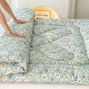 床褥子春秋冬天铺床褥子床垫铺底软垫家用卧室垫被加厚保暖垫子冬