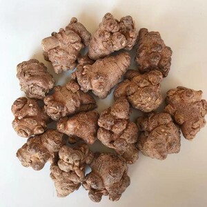 三七王