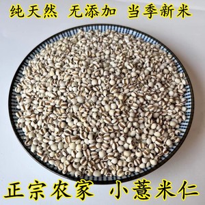 小薏米仁新货贵州农家自产正宗小薏米散装无硫五谷杂粮非大薏仁米