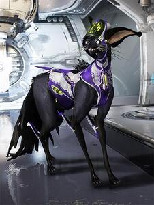 warframe星际战甲twitch礼包亚马逊prime热忱幻纹库娃护甲loki