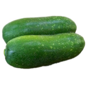 玲珑秀色四号迷你小冬瓜种籽翡翠节瓜种子早熟四季播农家蔬菜种孑