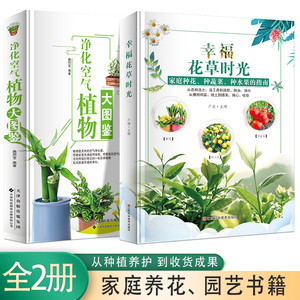 幸福花草时光+净化空气植物大图鉴【全2册】家庭养花、园艺书籍 家庭种花 种蔬菜 种水果指南 家庭养花和阳台种菜图书