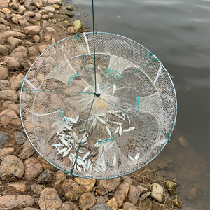 神奇白色圆形5嘴捕鱼笼捕虾笼虾网折叠渔网捕鱼网黄鳝笼捕鱼工具