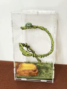 爬虫饲养箱树蛙睫角专用亚克力饲养盒老爷姥爷树蛙牛奶莫斯