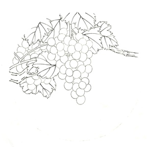 工笔葡萄白描底稿