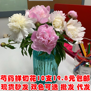 芍药鲜切花 重瓣芍药 牡丹花束办公室 芍药花产地直发10支包邮