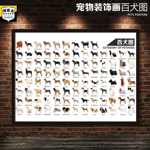 百犬图装饰画宠物店海报订做狗狗图谱分类科普早教贴挂画高清写真