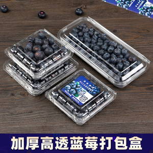125克蓝莓水果包装盒子一次性塑料透明长方形桑葚盒树莓桑果盒