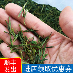 【新款中】2023浙江绿茶叶东白山高山茶香甜东白春芽散茶包邮