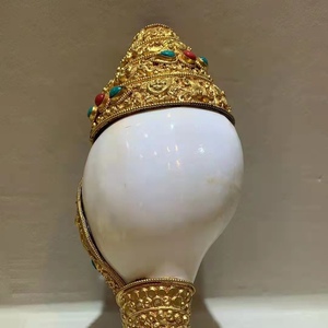 【尼泊尔法螺】尼泊尔法螺品牌,价格 - 阿里巴巴