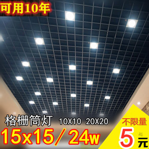 格栅筒灯15X15方形铁铝格子led双头10*20公分葡萄架专用6寸黑射灯