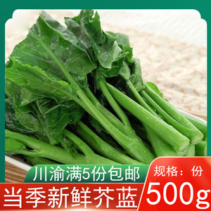 广东小芥兰新鲜