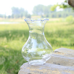 风信子专用透明花瓶水培种球花盆波浪花边塑料高款植物葫芦形器皿