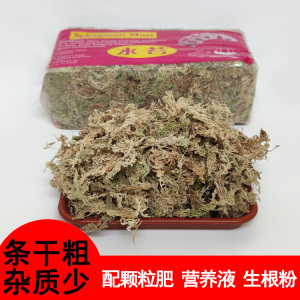 粗花水苔蝴蝶兰多肉食虫捕蝇草石斛种子育苗营养土干苔藓栽种植料