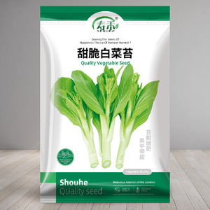 早熟白菜苔种子种籽大全苔菜四季菜心菜苔孑子菜芯菜籽白莱苔种籽