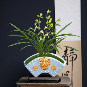 中国风蝴蝶兰专用盆兰花花盆陶瓷大号特价清仓大口径扇形盆栽盆景