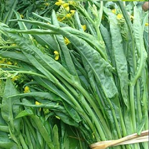 桂林特色蔬菜脆甜新鲜柳叶菜心卷叶菜心当季露天打霜菜花农家自种