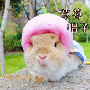 【贝妮】粉嘟嘟 草莓帽子 兔子帽子 兔子头饰 仅适合拍照