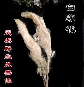 白茅花