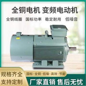 湘潭电机股份YE4-160M-4-11KW二级能效湘潭电机高效三相异步电机