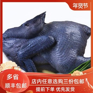 乌鸡新鲜现杀冷冻泰和整只土鸡散养农家五鲜冻白条月子鸡老母鸡