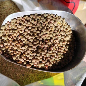 会宁特产农家小扁豆五谷杂粮扁豆子兵豆生豆芽菜灰豆饭1斤装2人付款6