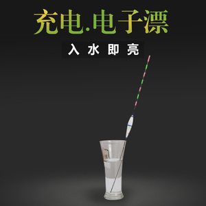 无影usb夜光鱼漂夜钓鱼漂可充电电池正品鱼飘充电夜光漂电子漂