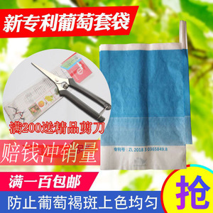 厂家直销三色葡萄纸袋阳光玫瑰育果袋防水防虫防褐斑葡萄套袋包邮