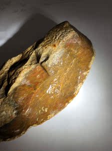 黑龙江天然彩色草花玉远古桫椤化石奇石雕刻料285克