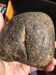 黑龙江天然草花玉桫椤玉原石雕刻料摆件玉化通透330克