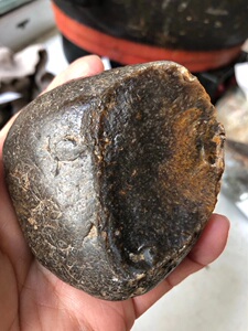 黑龙江天然牛角冻草花玉桫椤化石标本原石雕刻料251克